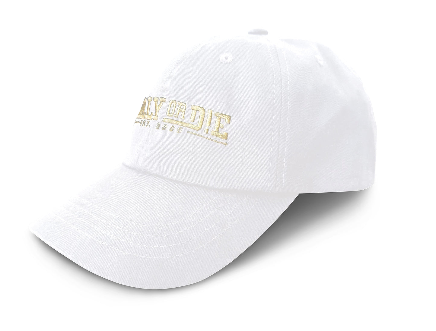 Class!c Dad Hat